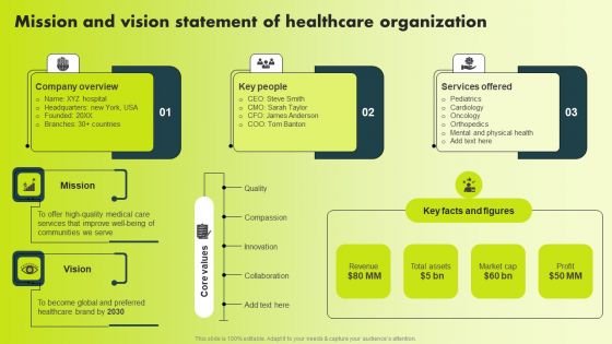 Mission And Vision Statement Of Healthcare Organization Themes PDF