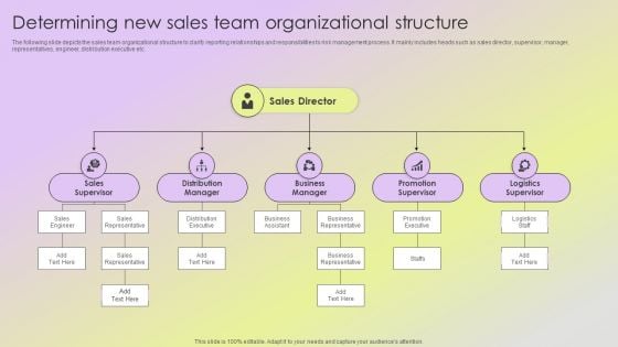 Mitigating Sales Risks With Strategic Action Planning Determining New Sales Team Organizational Structure Professional PDF