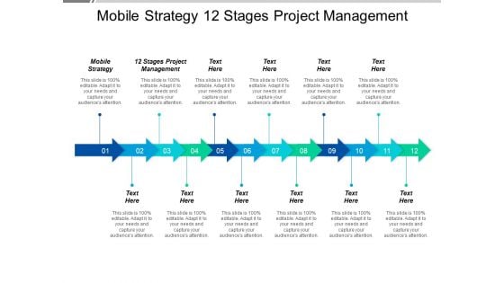 Mobile Strategy 12 Stages Project Management Ppt PowerPoint Presentation Layouts Graphics Example