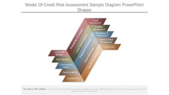 Model Of Credit Risk Assessment Sample Diagram Powerpoint Shapes