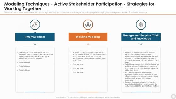 Modeling Techniques Active Stakeholder Participation Strategies For Working Together Introduction PDF