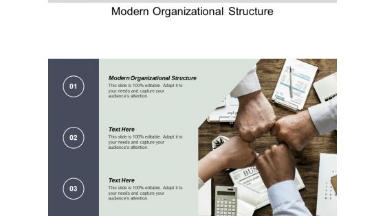 Modern Organizational Structure Ppt PowerPoint Presentation Slides Cpb