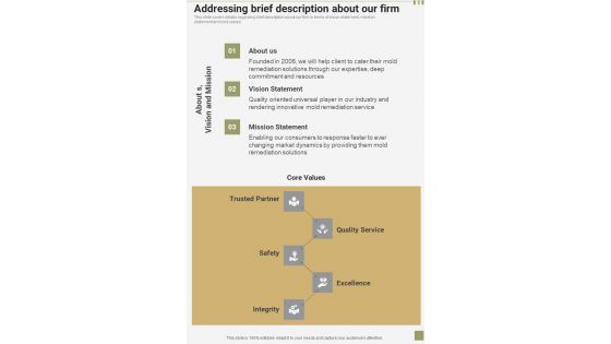 Mold Removal Contractual Services Addressing Brief Description One Pager Sample Example Document