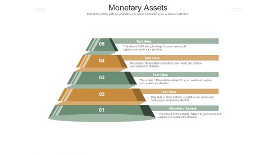 Monetary Asset Ppt PowerPoint Presentation Portfolio Outline Cpb Pdf