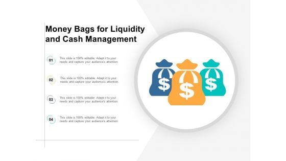 Money Bags For Liquidity And Cash Management Ppt PowerPoint Presentation Infographics Graphics