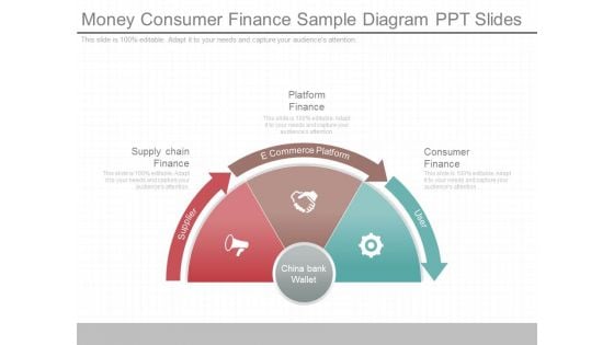 Money Consumer Finance Sample Diagram Ppt Slides