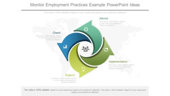Monitor Employment Practices Example Powerpoint Ideas