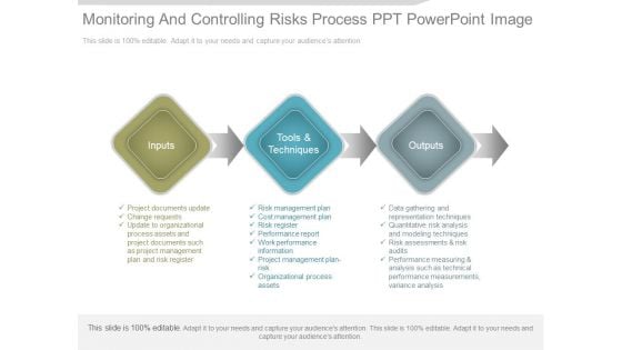 Monitoring And Controlling Risks Process Ppt Powerpoint Image