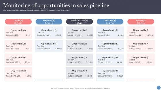 Monitoring Of Opportunities In Sales Pipeline Portrait PDF