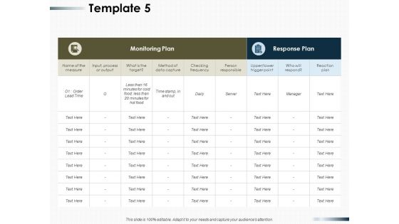 Monitoring Plan Ppt PowerPoint Presentation Show Picture