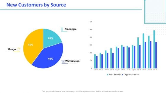 Monthly Digital Marketing Report Template New Customers By Source Themes PDF