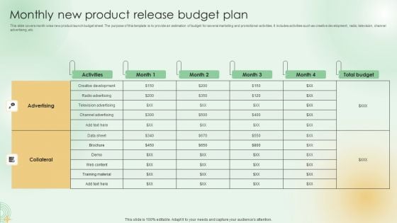 Monthly New Product Release Budget Plan Portrait PDF