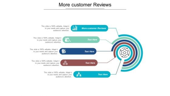 More Customer Reviews Ppt PowerPoint Presentation Outline Examples