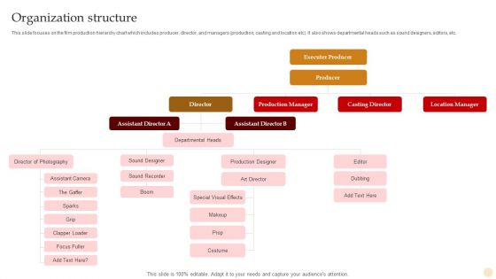 Motion Pictures Production Company Profile Organization Structure Guidelines PDF