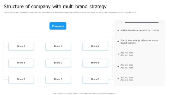 Multi Brand Launch Strateic Plan Structure Of Company With Multi Brand Strategy Introduction PDF