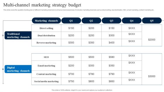Multi Channel Marketing Strategy Budget Professional PDF