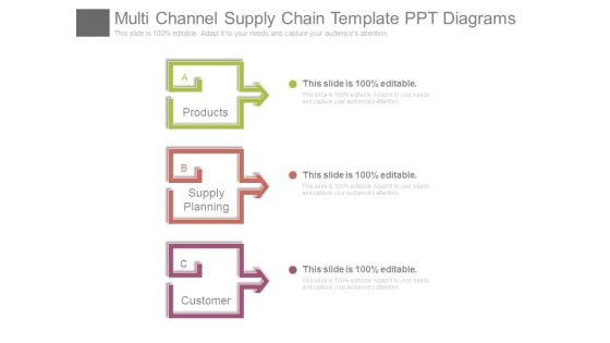 Multi Channel Supply Chain Template Ppt Diagrams