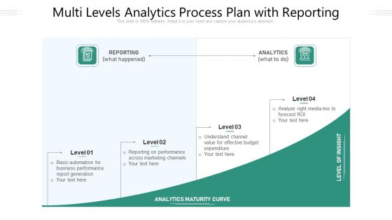 Multi Levels Analytics Process Plan With Reporting Ppt PowerPoint Presentation Gallery Icons PDF