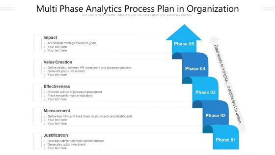 Multi Phase Analytics Process Plan In Organization Ppt PowerPoint Presentation Gallery Slide Portrait PDF