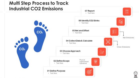 Multi Step Process To Track Industrial CO2 Emissions Pictures PDF