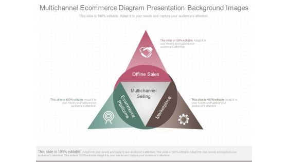 Multichannel Ecommerce Diagram Presentation Background Images