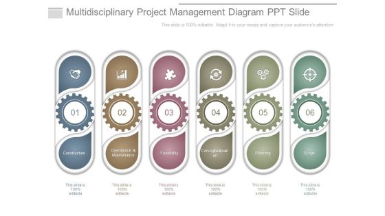 Multidisciplinary Project Management Diagram Ppt Slide