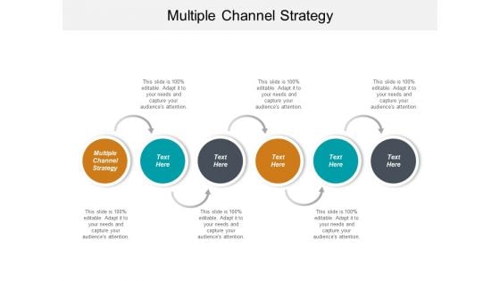 Multiple Channel Strategy Ppt PowerPoint Presentation Gallery Introduction Cpb