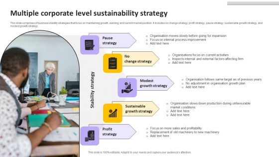 Multiple Corporate Level Sustainability Strategy Summary PDF