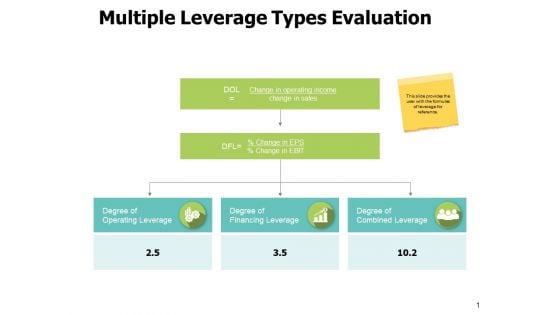 Multiple Leverage Types Evaluation Ppt PowerPoint Presentation Outline Demonstration