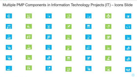 Multiple PMP Components In Information Technology Projects IT Icons Slide Summary PDF