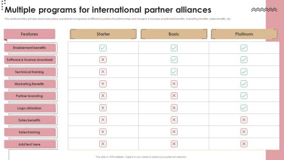 Multiple Programs For International Partner Alliances Ideas PDF