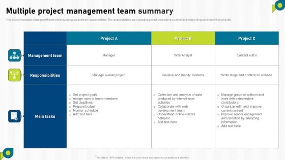 Multiple Project Management Team Summary Ppt PowerPoint Presentation Gallery Demonstration PDF