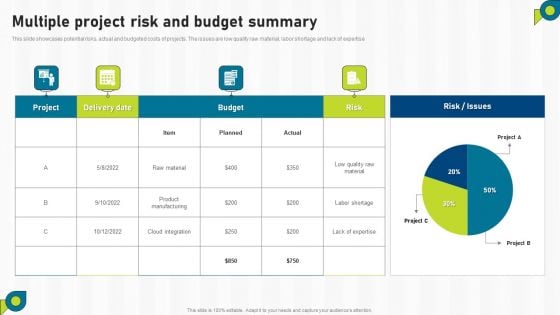 Multiple Project Risk And Budget Summary Ppt PowerPoint Presentation File Pictures PDF