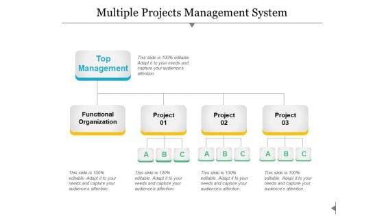 Multiple Projects Management System Ppt PowerPoint Presentation Images