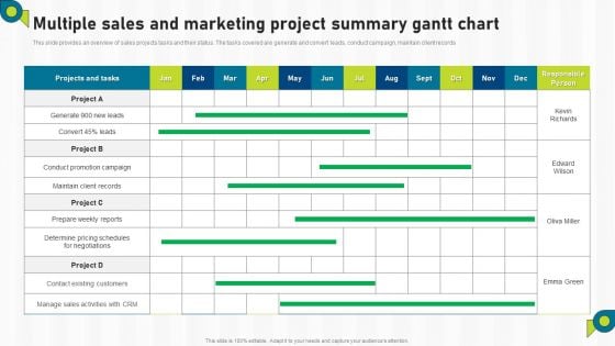 Multiple Sales And Marketing Project Summary Gantt Chart Ppt Outline Layouts PDF