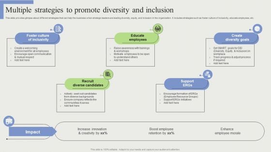 Multiple Strategies To Promote Diversity And Inclusion Themes PDF