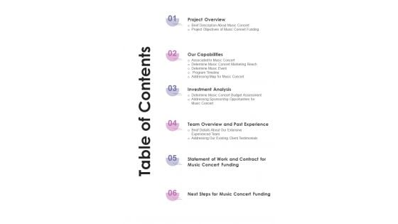 Music Concert Funding Proposal Table Of Contents One Pager Sample Example Document