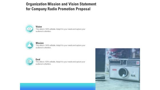 Music Promotion Consultation Organization Mission And Vision Statement For Company Radio Themes PDF