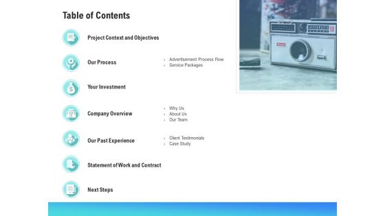 Music Promotion Consultation Table Of Contents Structure PDF