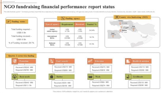 NGO Fundraising Financial Performance Report Status Microsoft PDF