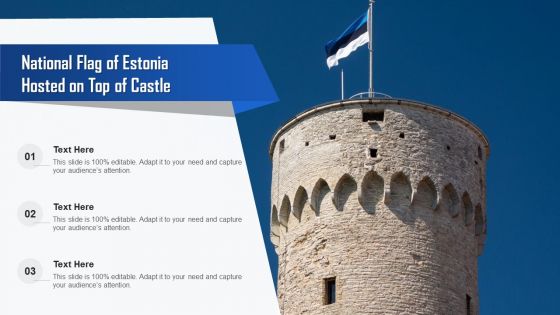 National Flag Of Estonia Hosted On Top Of Castle Ppt PowerPoint Presentation Gallery Show PDF