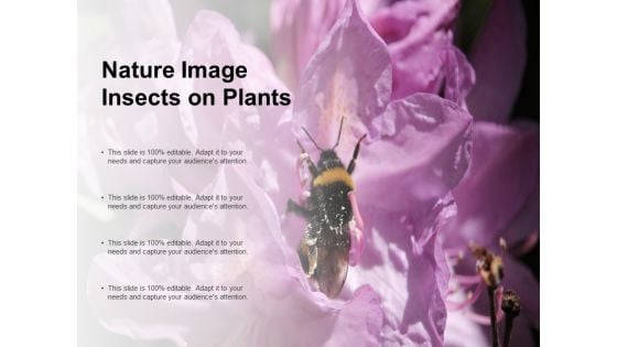 Nature Image Insects On Plants Ppt PowerPoint Presentation Styles Brochure