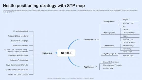 Nestle Performance Management Report Nestle Positioning Strategy With Stp Map Background PDF