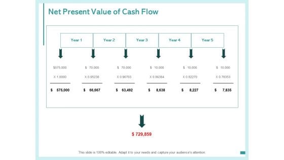 Net Present Value Of Cash Flow Ppt PowerPoint Presentation Professional Graphics Download