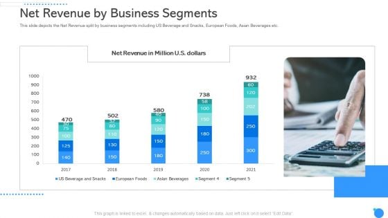 Net Revenue By Business Segments Ppt Gallery Structure PDF