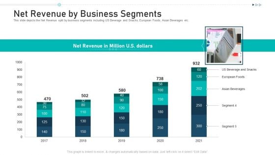 Net Revenue By Business Segments Ppt Pictures Example Topics PDF