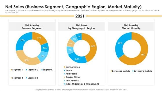 Net Sales Business Segment Geographic Region Market Maturity Information PDF