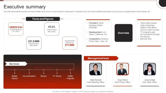 Netflix Company Outline Executive Summary Portrait PDF