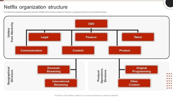 Netflix Company Outline Netflix Organization Structure Rules PDF