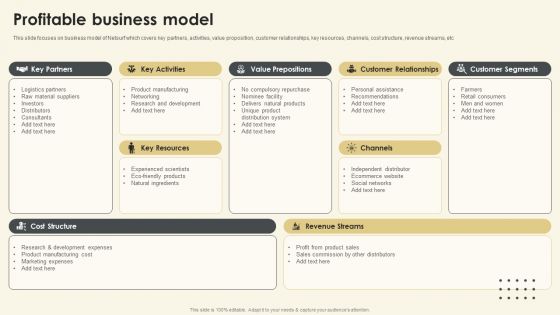 Netsurf Business Profile Profitable Business Model Ppt Ideas Show PDF